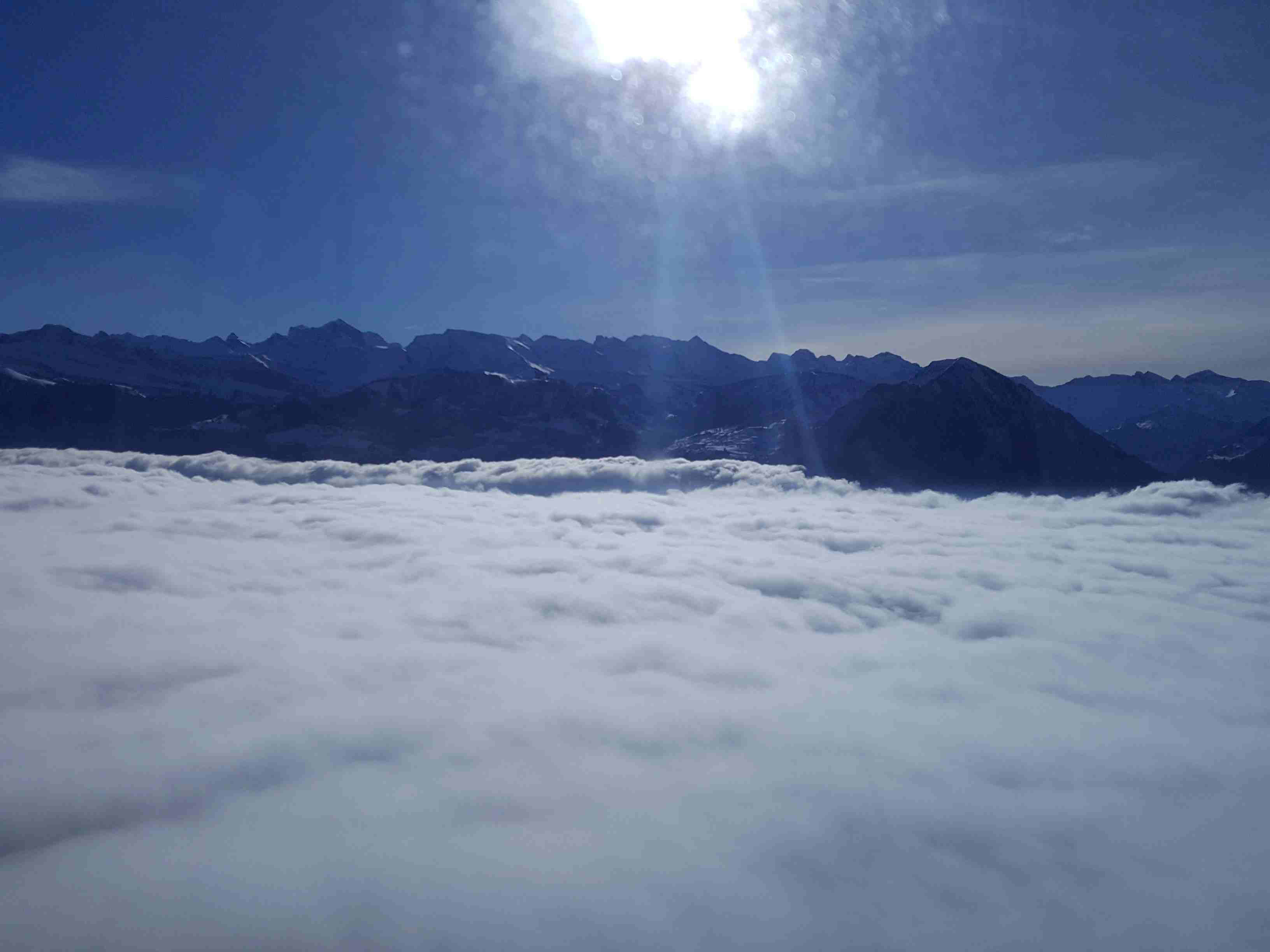 Sample Photo